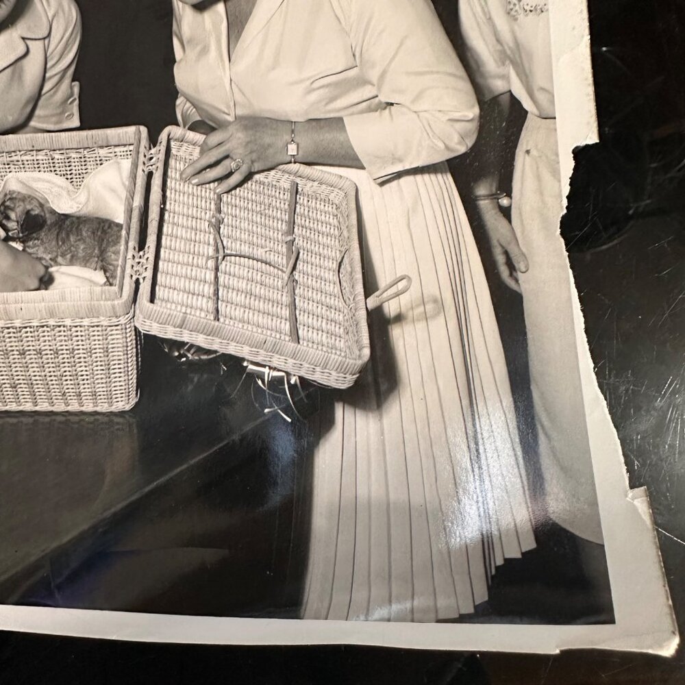 Vintage 1960 Hollywood Photo Of Tuesday Weld Dick Clark Tab Hunter & More With P - Picture 8 of 14